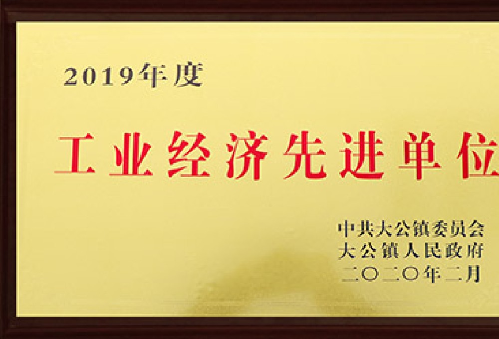 2019工业经济先进单位